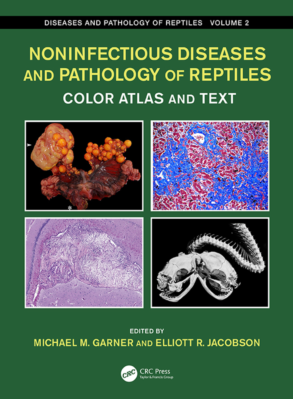Noninfectious Diseases and Pathology of Reptiles Color Atlas and Text, Diseases and Pathology of Reptiles, Volume 2 1st Edition â€“ PDF/EPUB Version Downloadable