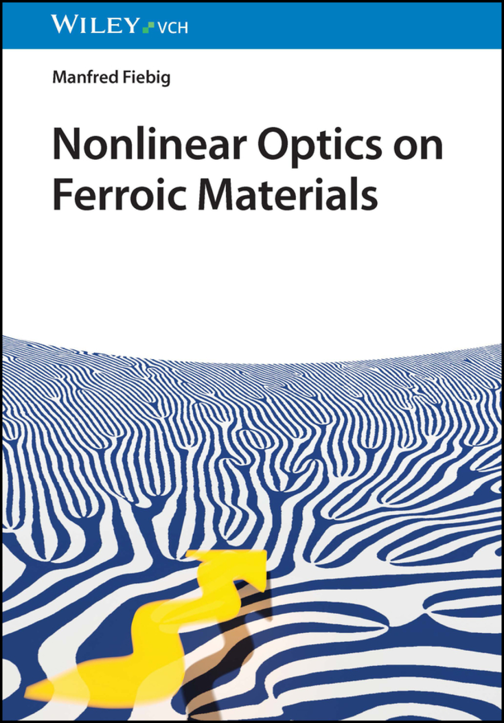 Nonlinear Optics on Ferroic Materials 1st Edition â€“ PDF/EPUB Version Downloadable