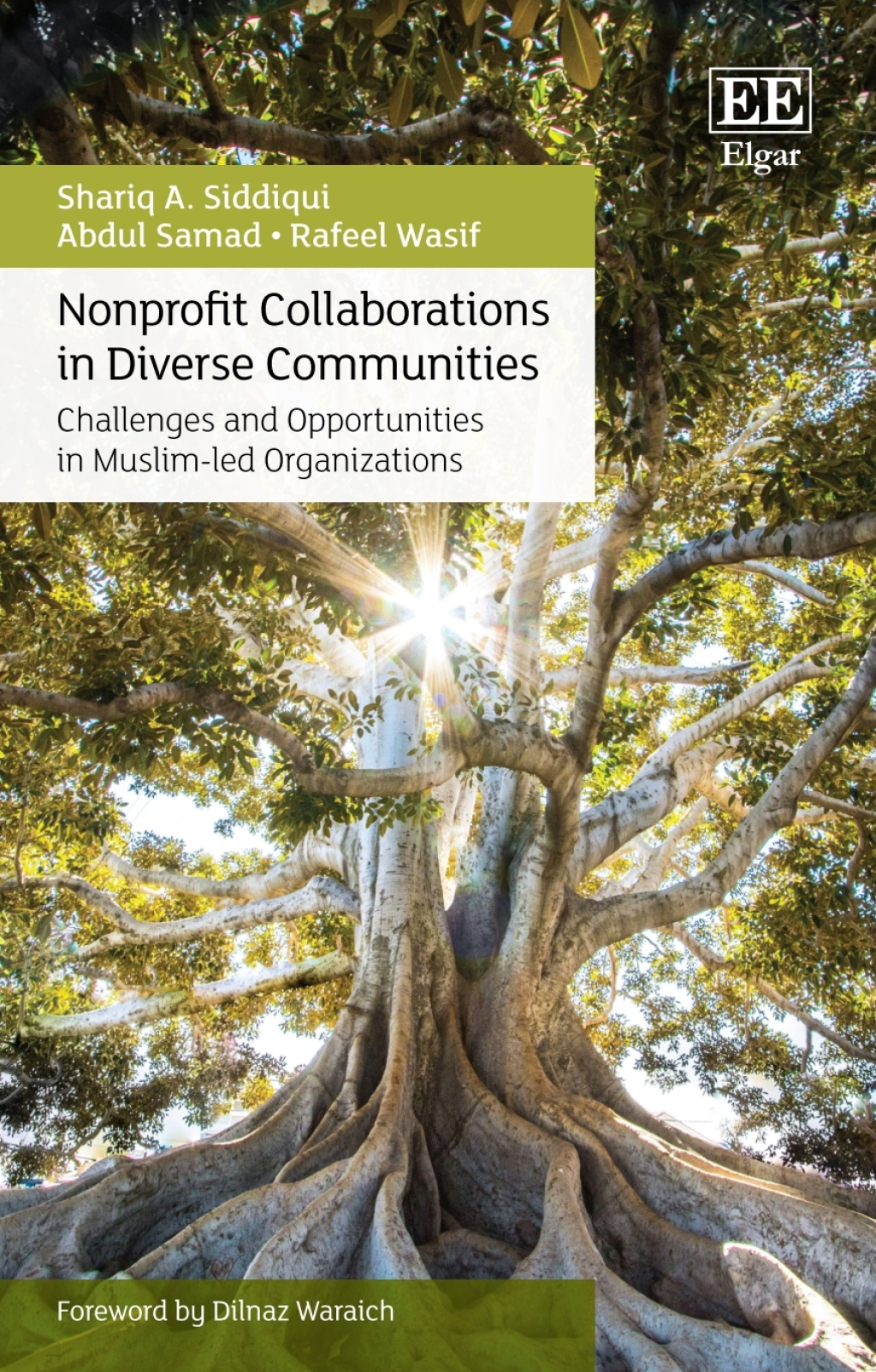 Nonprofit Collaborations in Diverse Communities 1st Edition â€“ PDF/EPUB Version Downloadable