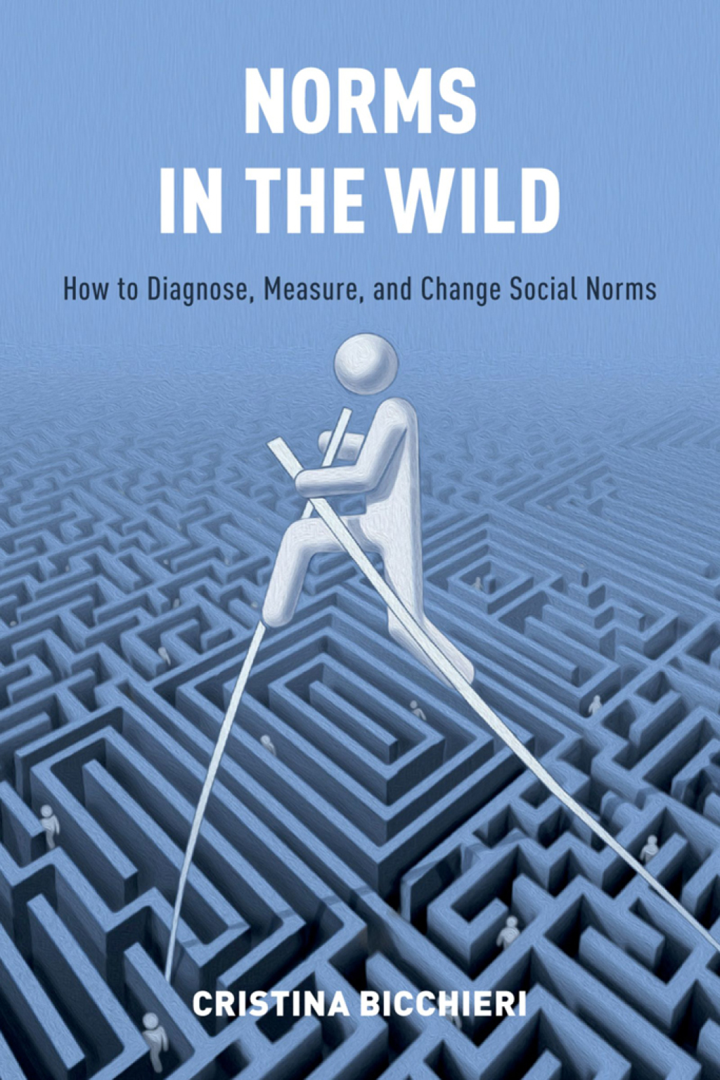 Norms in the Wild How to Diagnose, Measure, and Change Social Norms - (PDF/EPUB Version)