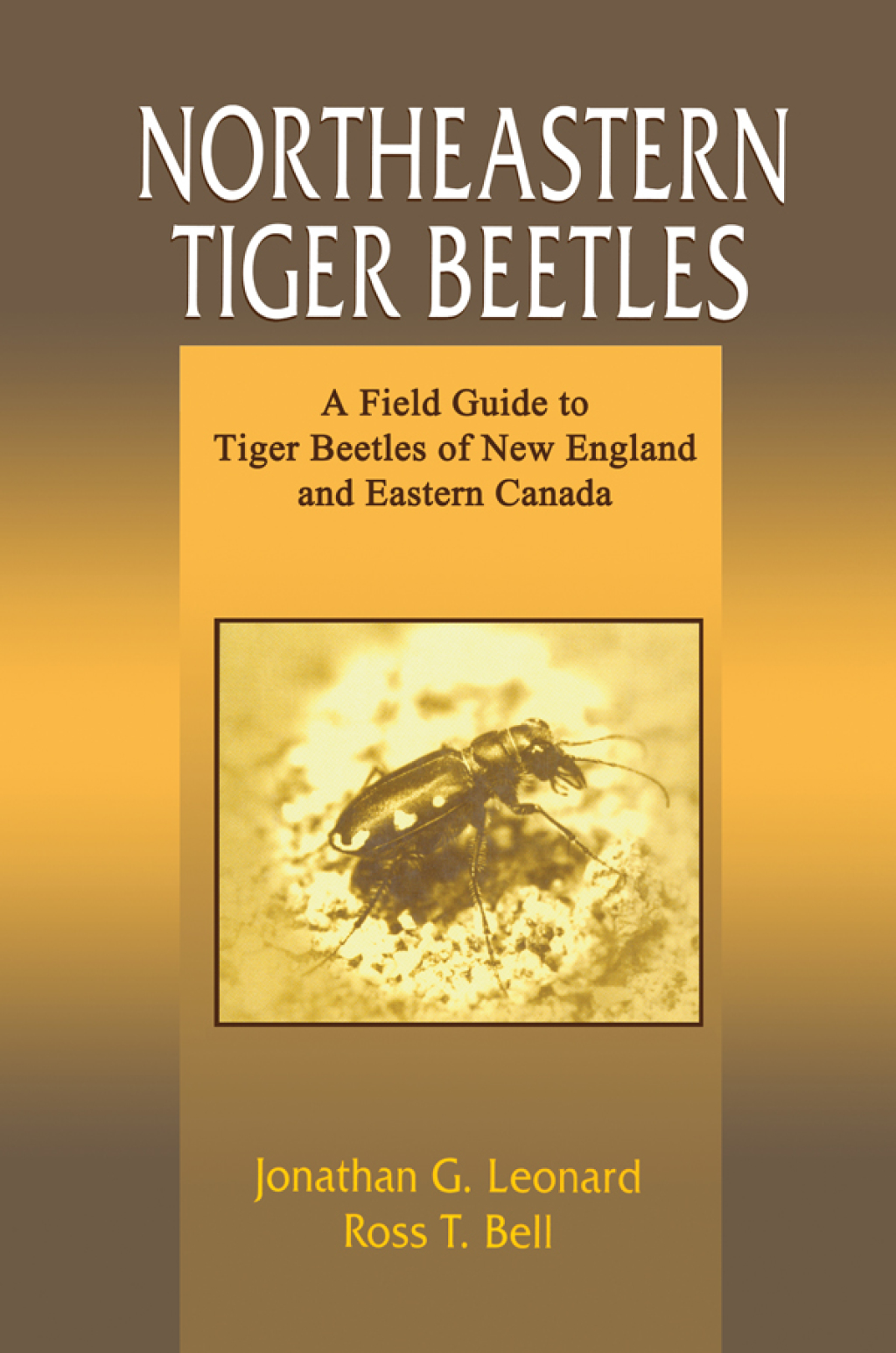 Northeastern Tiger Beetles A Field Guide to Tiger Beetles of New England and Eastern Canada 1st Edition â€“ PDF/EPUB Version Downloadable