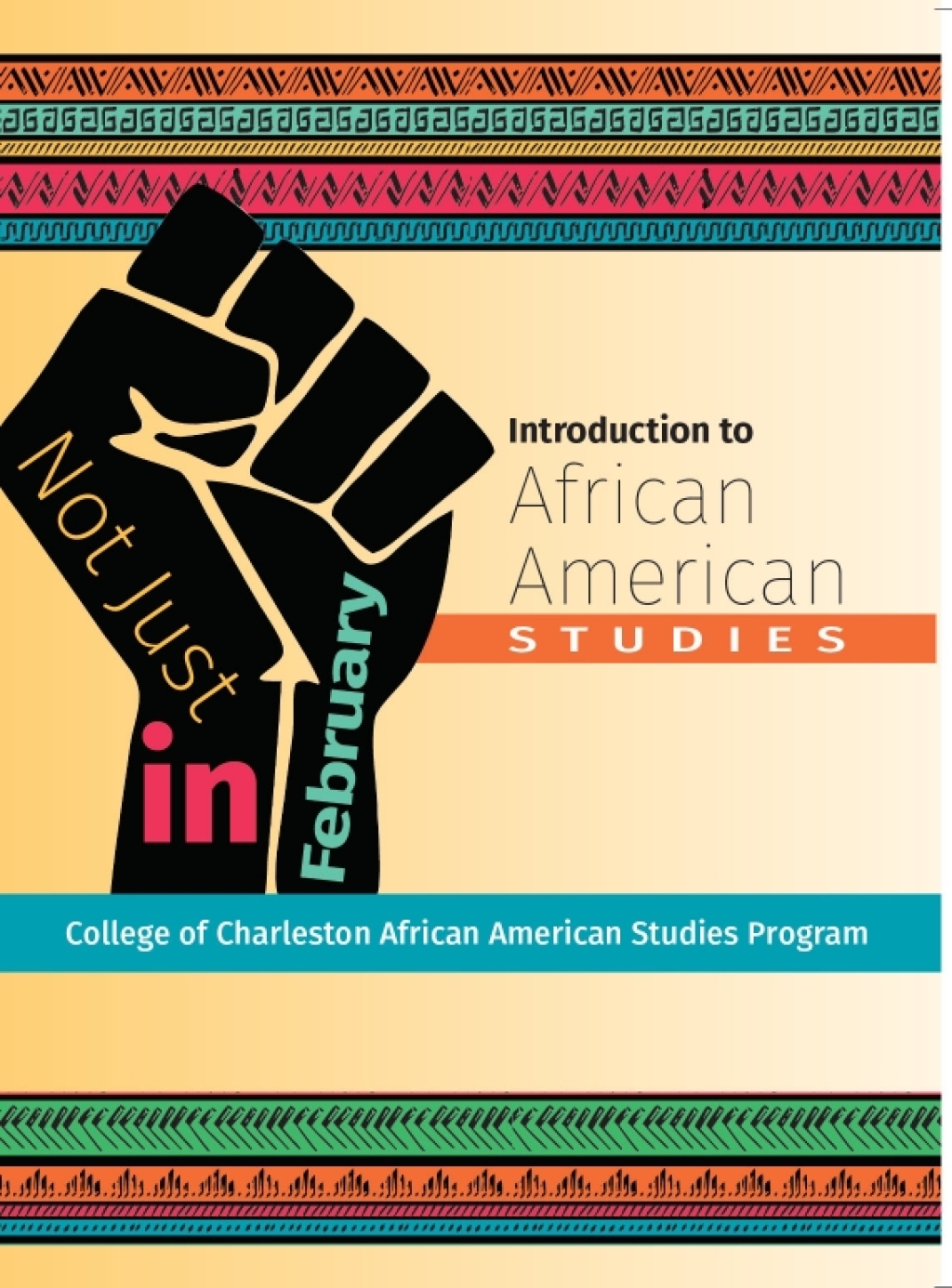 Not Just in February: An Introduction to African American Studies 1st Edition â€“ PDF/EPUB Version Downloadable