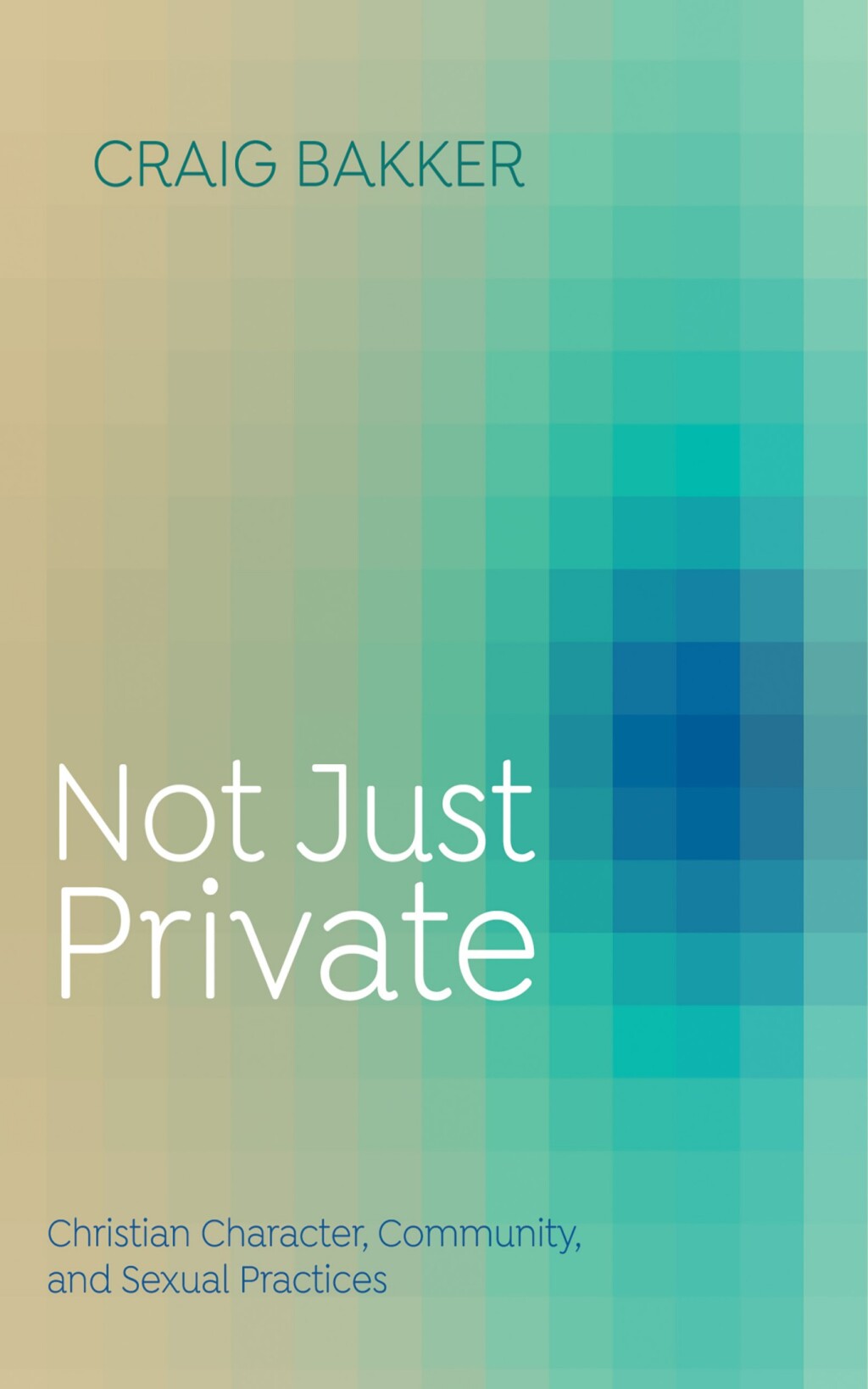 Not Just Private Christian Character, Community, and Sexual Practices  â€“ PDF/EPUB Version Downloadable