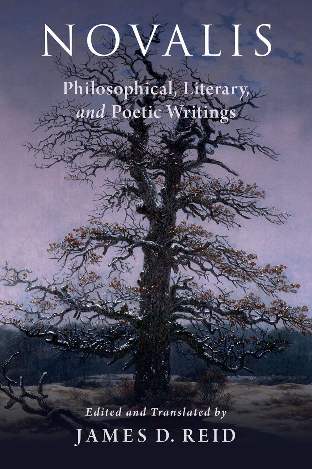 Novalis: Philosophical, Literary, and Poetic Writings 1st Edition â€“ PDF/EPUB Version Downloadable
