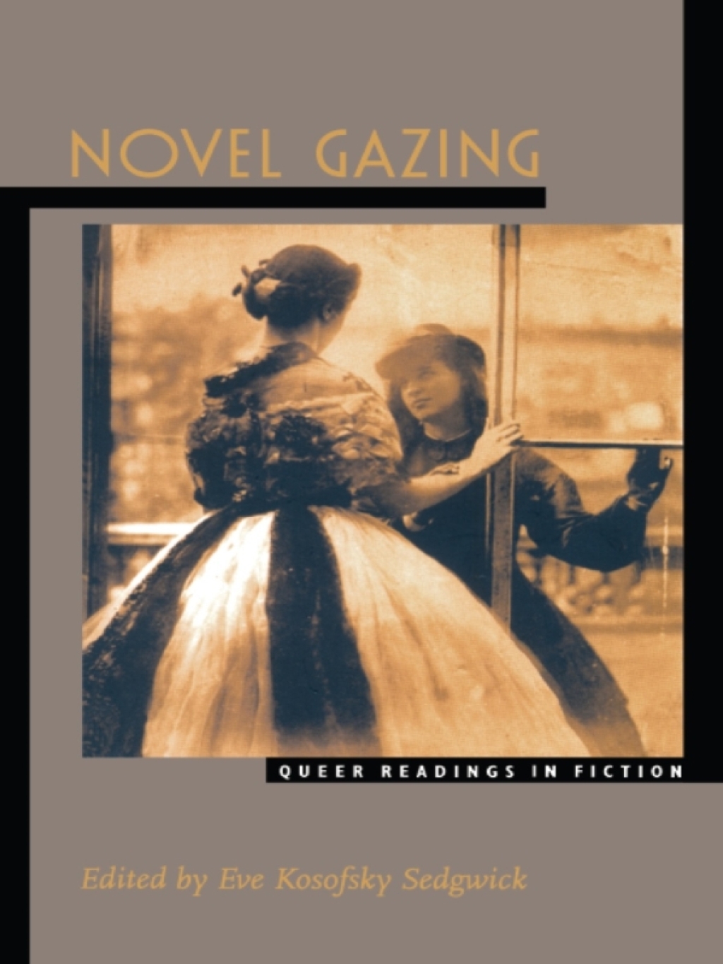 Novel Gazing Queer Readings in Fiction  â€“ PDF/EPUB Version Downloadable