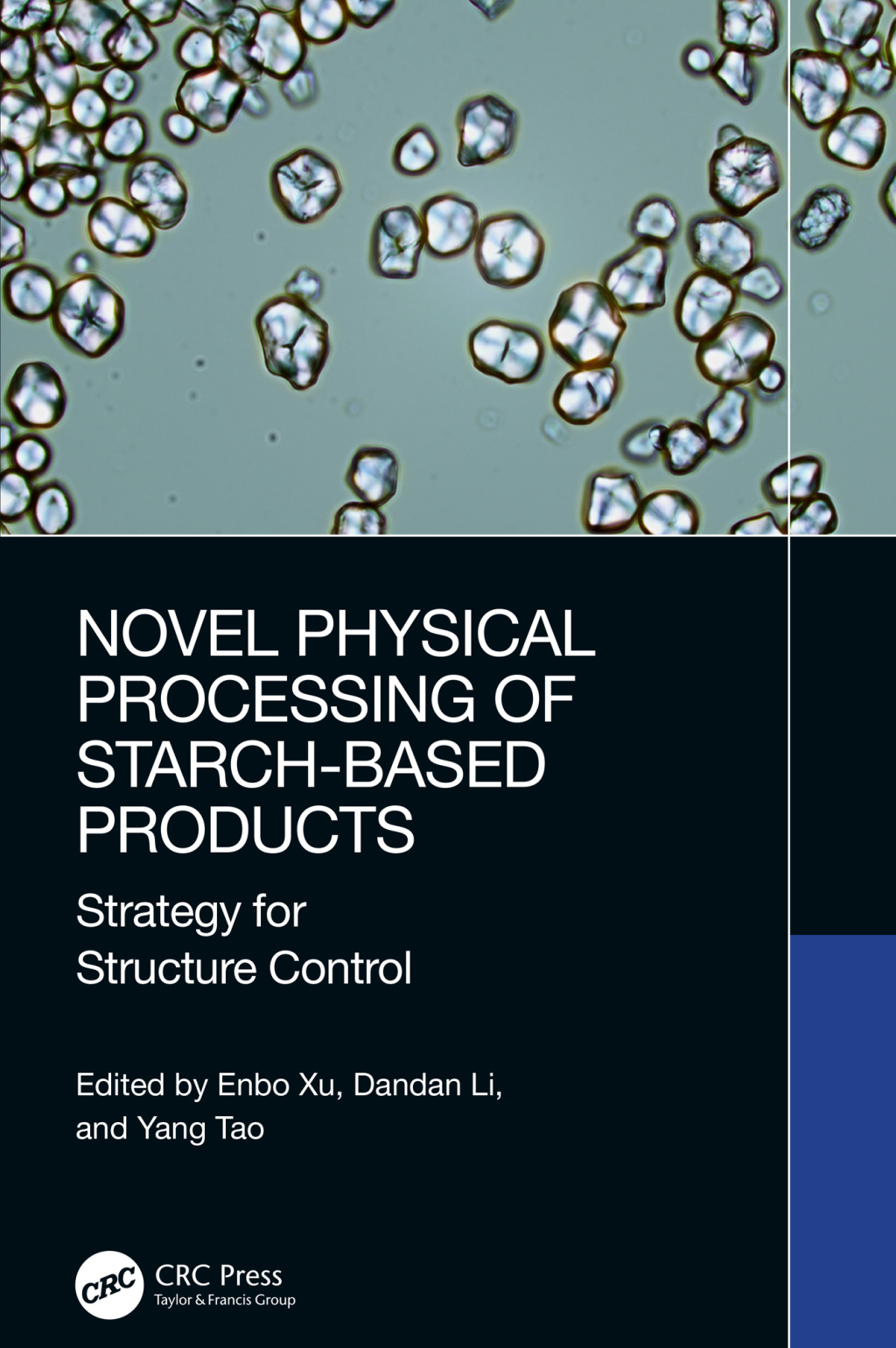Novel Physical Processing of Starch-Based Products Strategy for Structure Control 1st Edition â€“ PDF/EPUB Version Downloadable