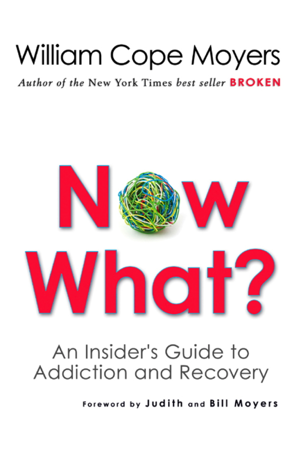 Now What? An Insider's Guide to Addiction and Recovery - (PDF/EPUB Version)