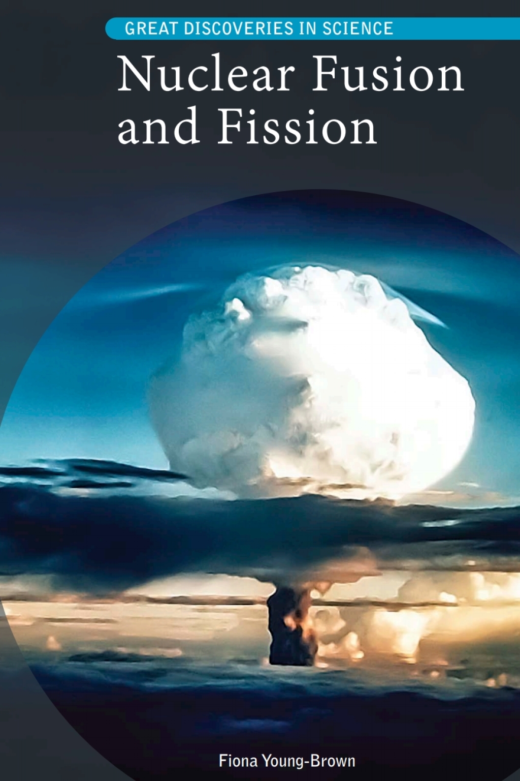 Nuclear Fusion and Fission  â€“ PDF/EPUB Version Downloadable
