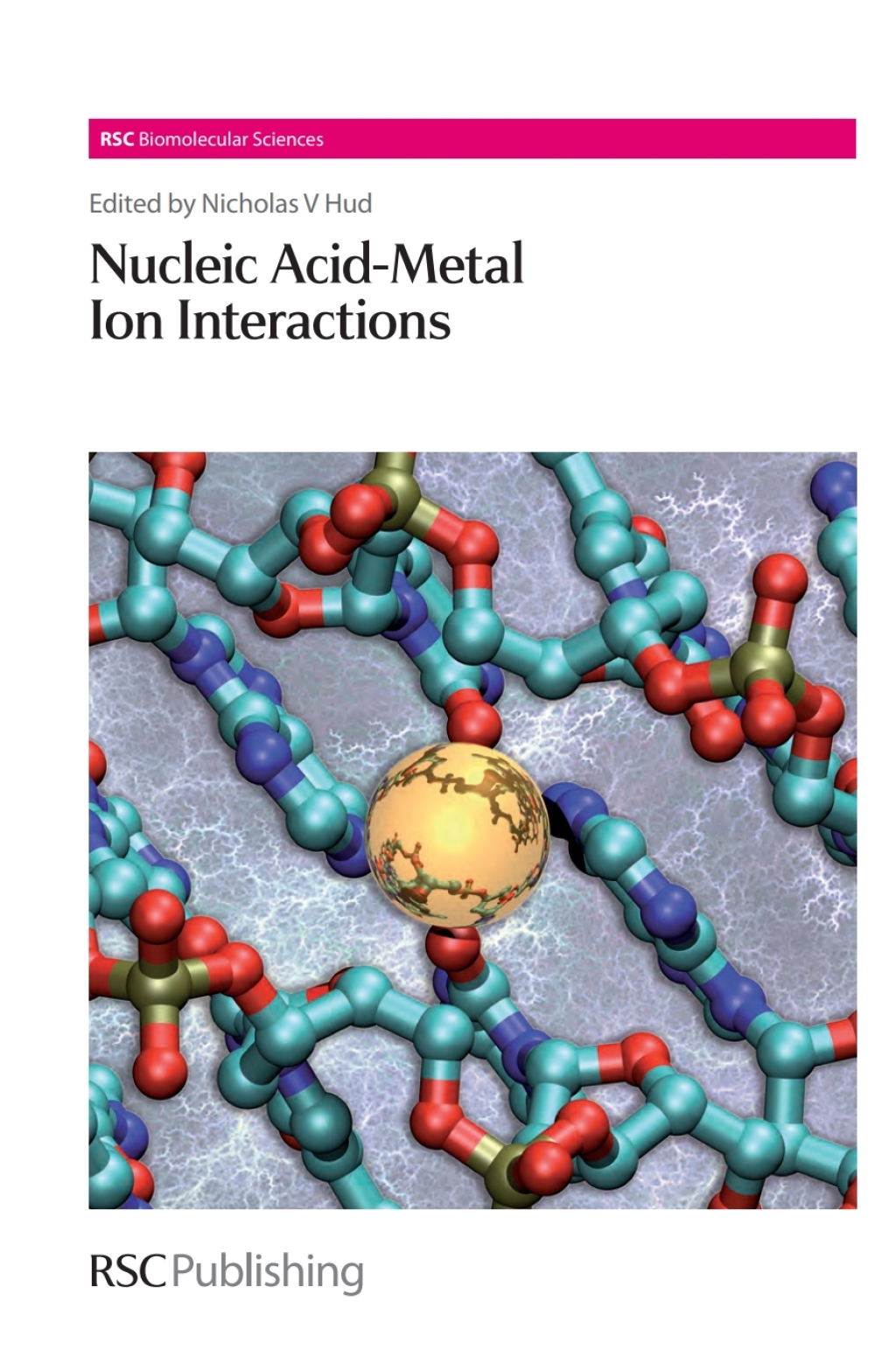 Nucleic Acid-Metal Ion Interactions 1st Edition â€“ PDF/EPUB Version Downloadable