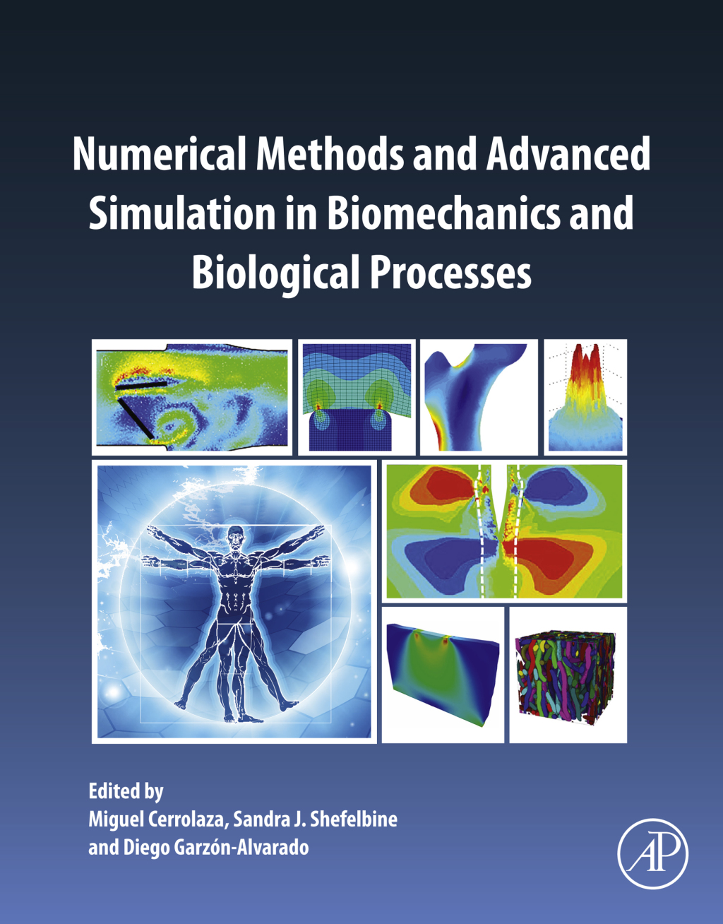 Numerical Methods and Advanced Simulation in Biomechanics and Biological Processes  â€“ PDF/EPUB Version Downloadable