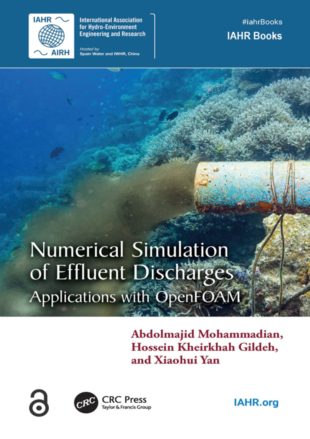 Numerical Simulation of Effluent Discharges Applications with OpenFOAM 1st Edition â€“ PDF/EPUB Version Downloadable