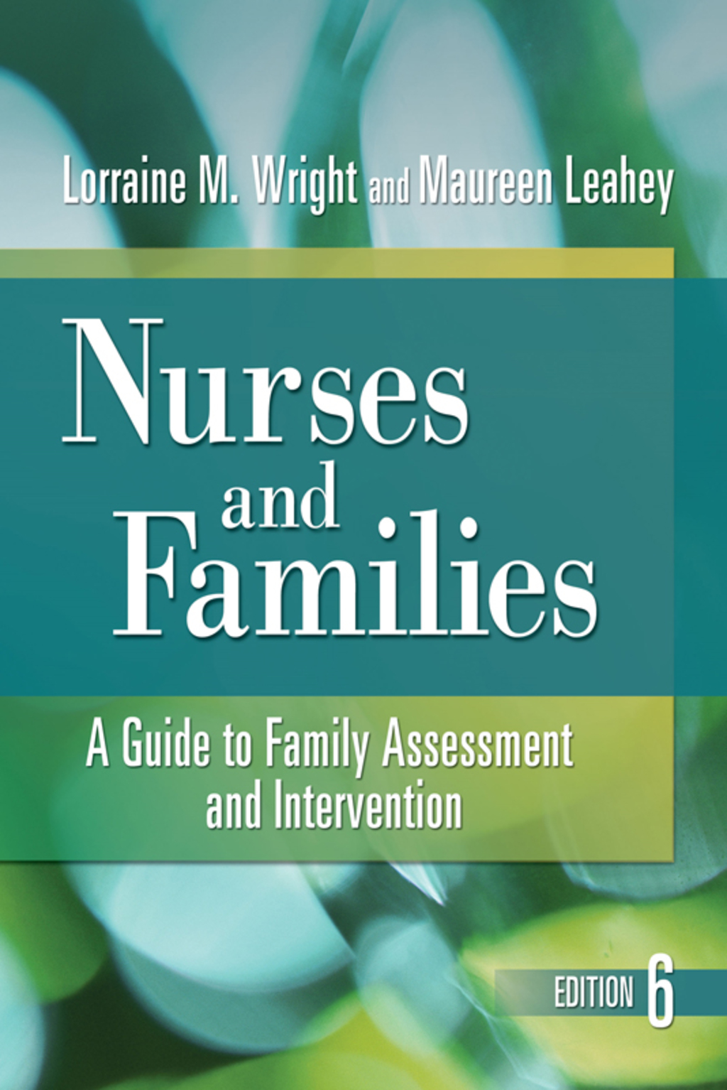 Nurses and Families A Guide to Family Assessment and Intervention 6th Edition - (PDF/EPUB Version)