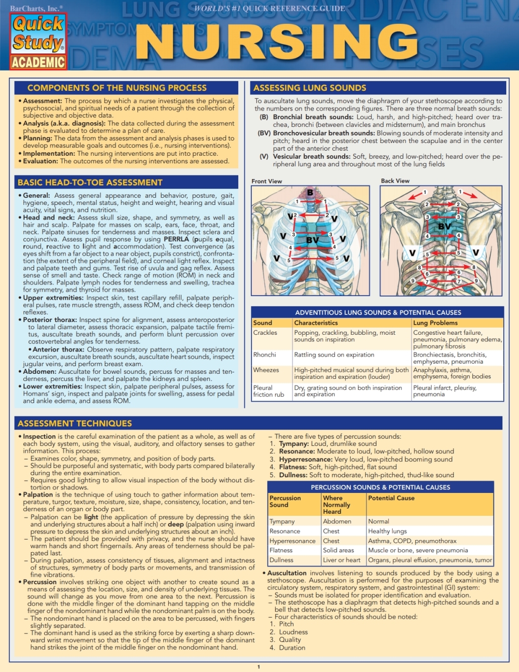 Nursing - (PDF/EPUB Version)