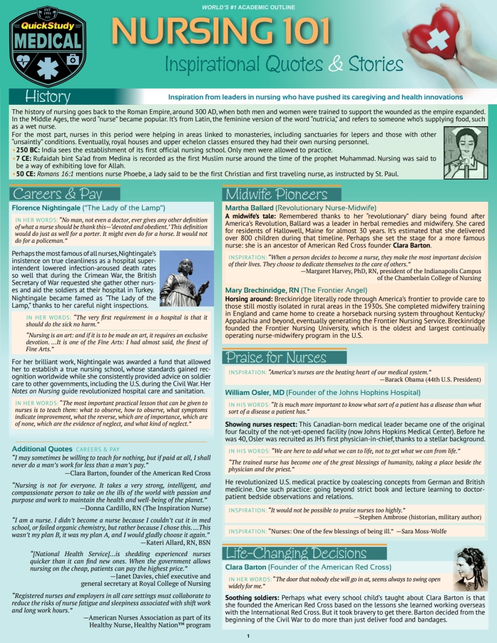 Nursing 101 - Inspirational Quotes & Stories a QuickStudy Laminated Reference Guide - (PDF/EPUB Version)
