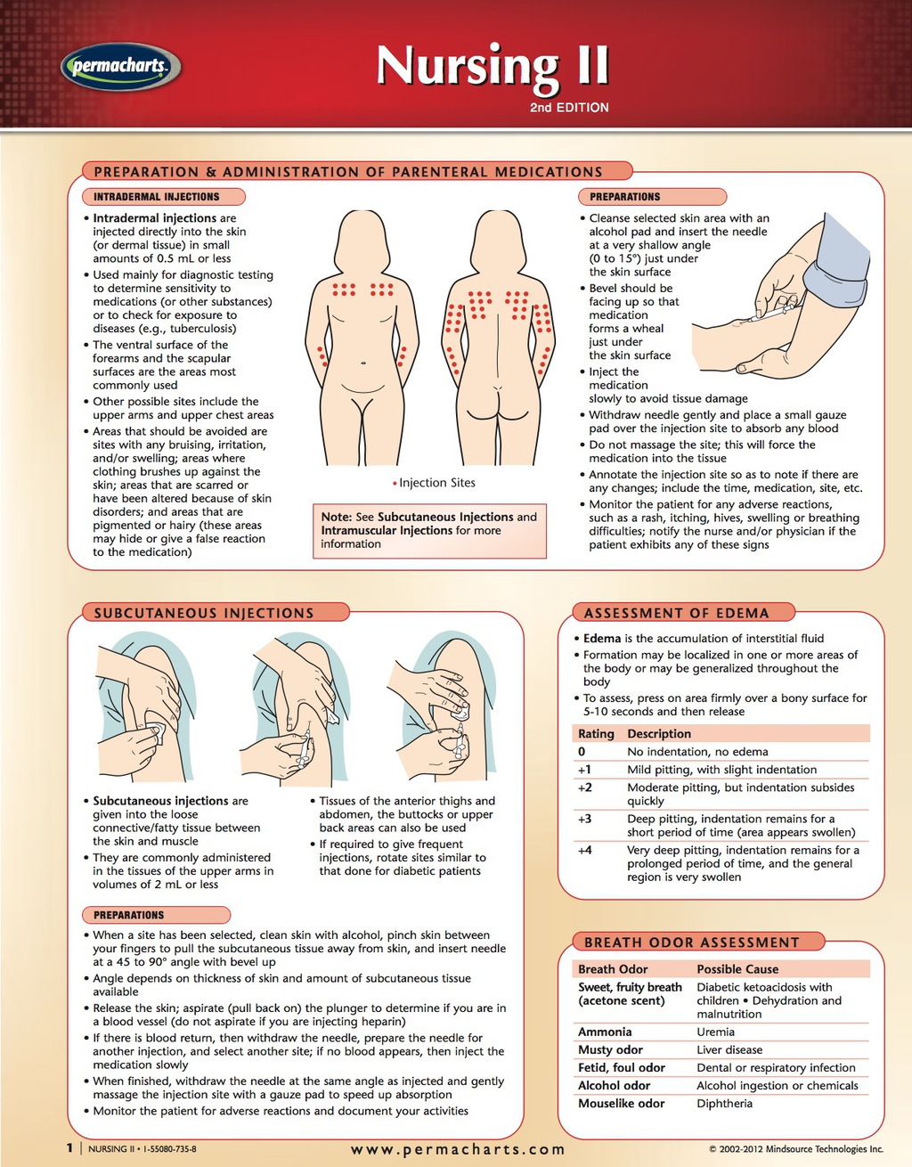 Nursing II Chart - Medicine and Anatomy Nursing Quick Reference Guide 2nd Edition - (PDF/EPUB Version)