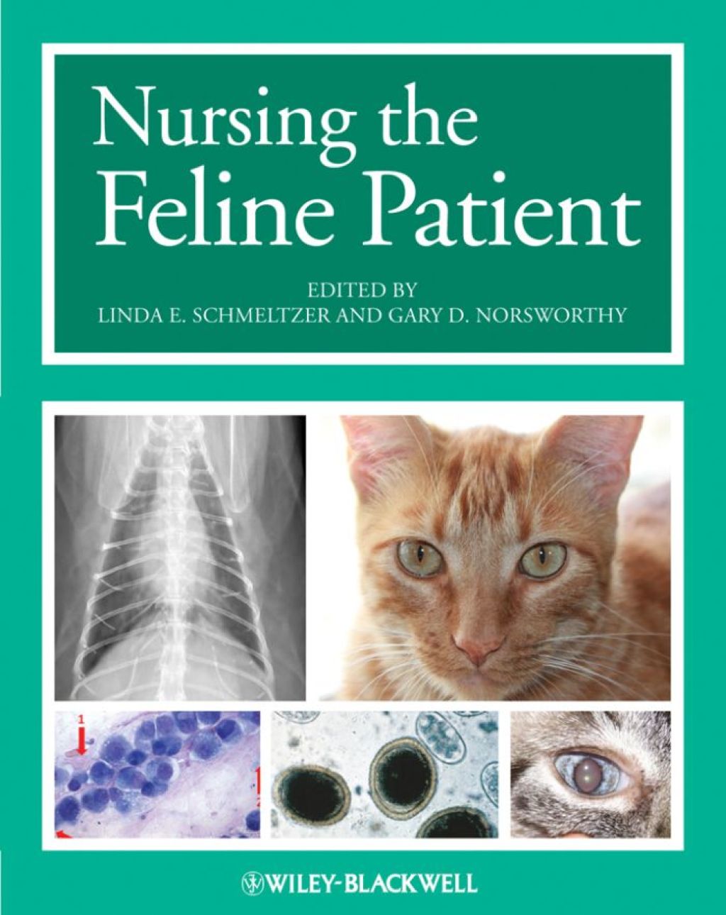 Nursing the Feline Patient 1st Edition â€“ PDF/EPUB Version Downloadable