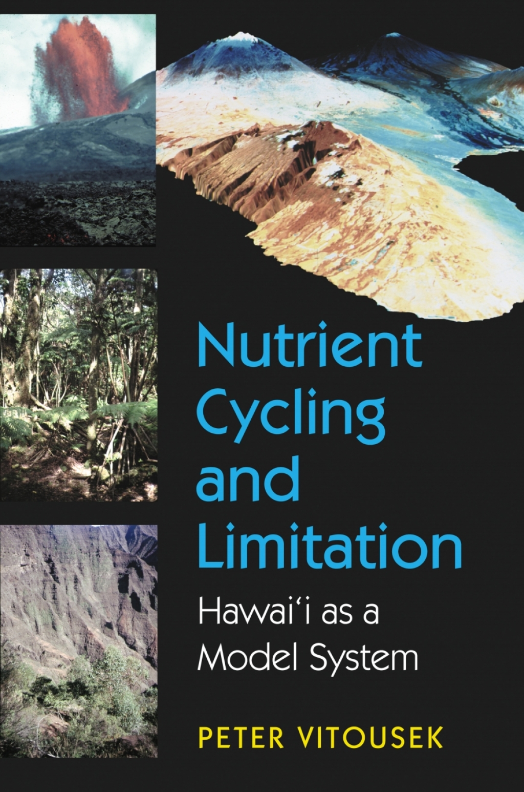 Nutrient Cycling and Limitation Hawai'i as a Model System  â€“ PDF/EPUB Version Downloadable
