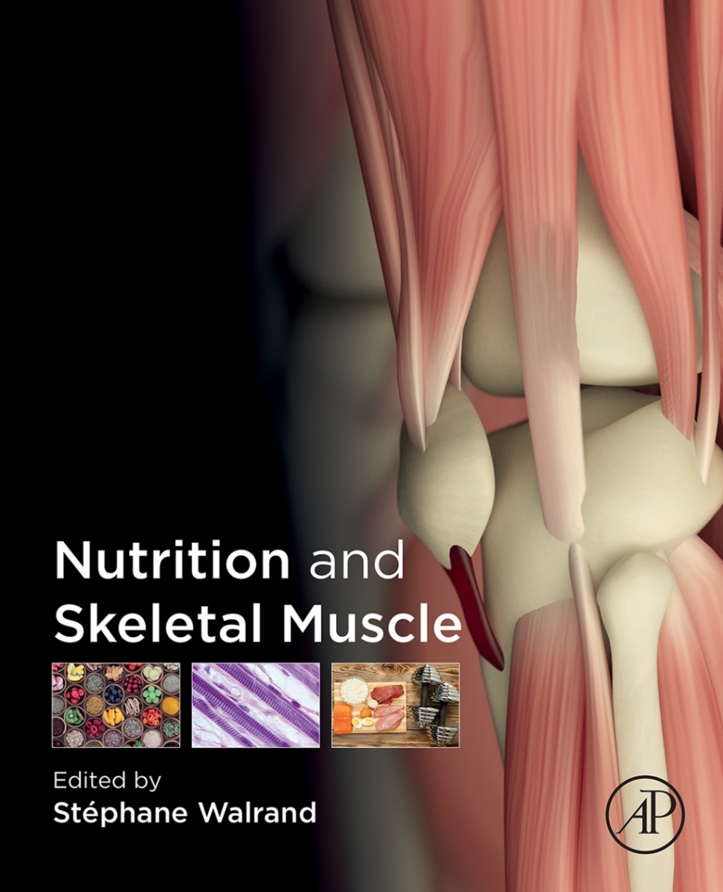 Nutrition and Skeletal Muscle  â€“ PDF/EPUB Version Downloadable
