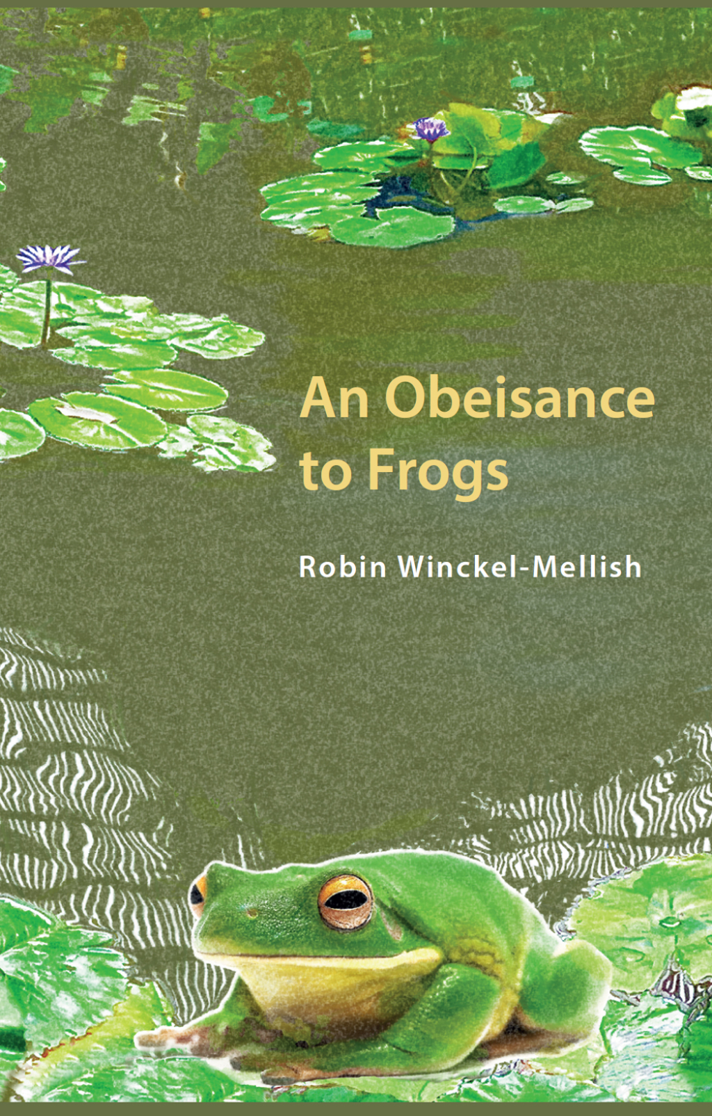Obesiance to Frogs 1st Edition â€“ PDF/EPUB Version Downloadable