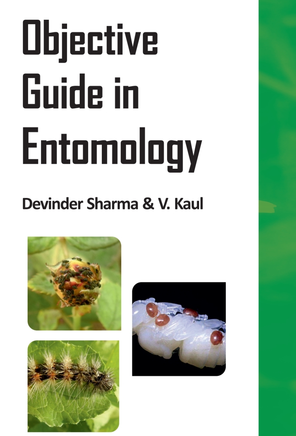Objective Guide in Entomology 1st Edition â€“ PDF/EPUB Version Downloadable