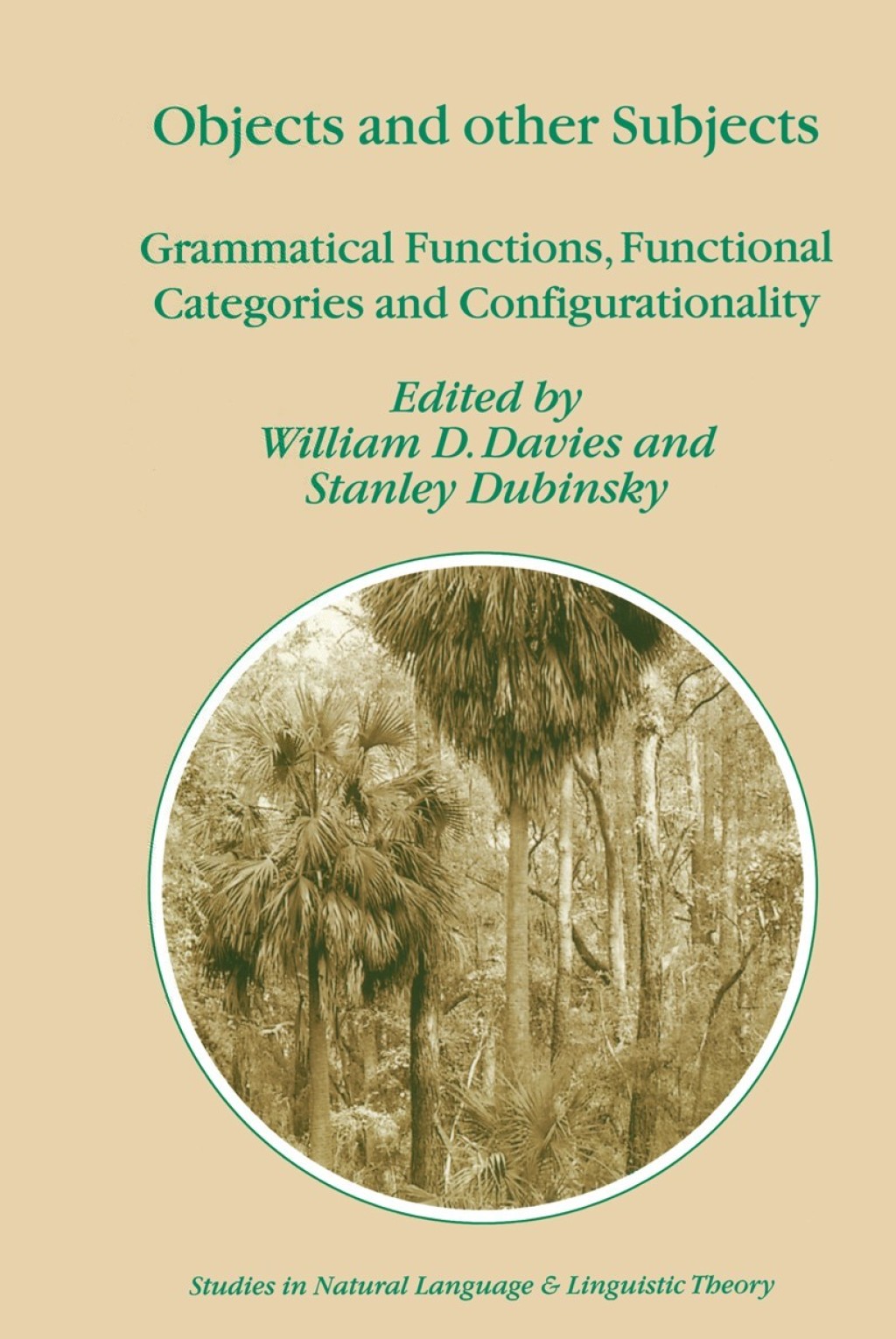 Objects and Other Subjects Grammatical Functions, Functional Categories and Configurationality 1st Edition â€“ PDF/EPUB Version Downloadable
