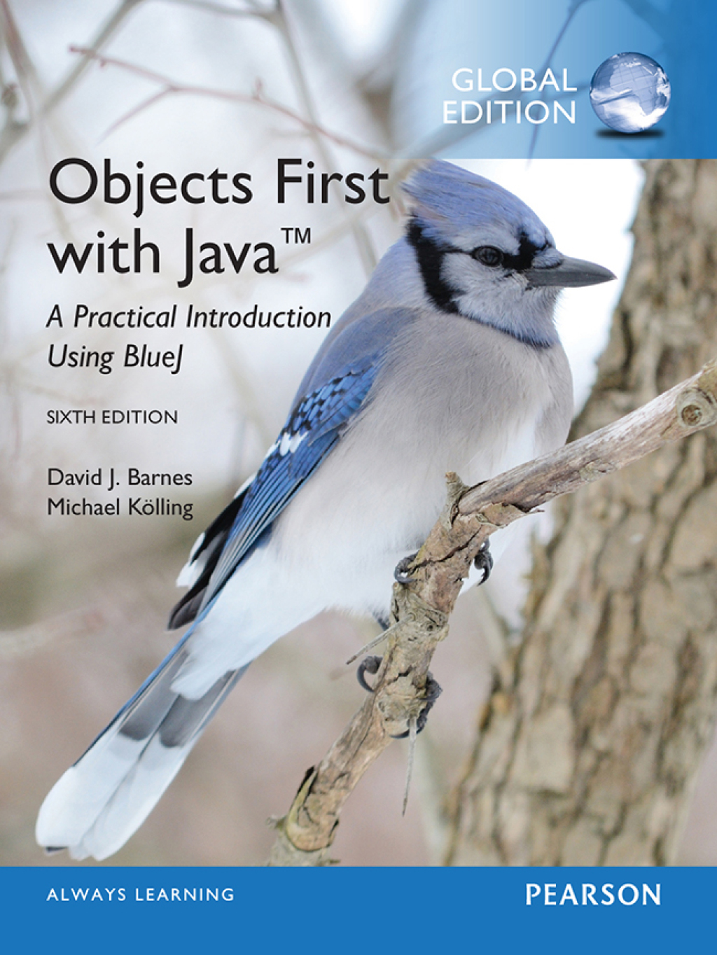 Objects First with Java: A Practical Introduction Using BlueJ, Global Edition 6th Edition â€“ PDF/EPUB Version Downloadable