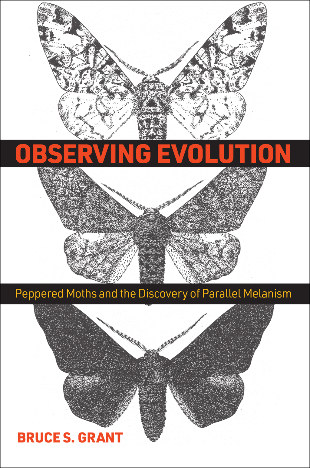 Observing Evolution Peppered Moths and the Discovery of Parallel Melanism  â€“ PDF/EPUB Version Downloadable