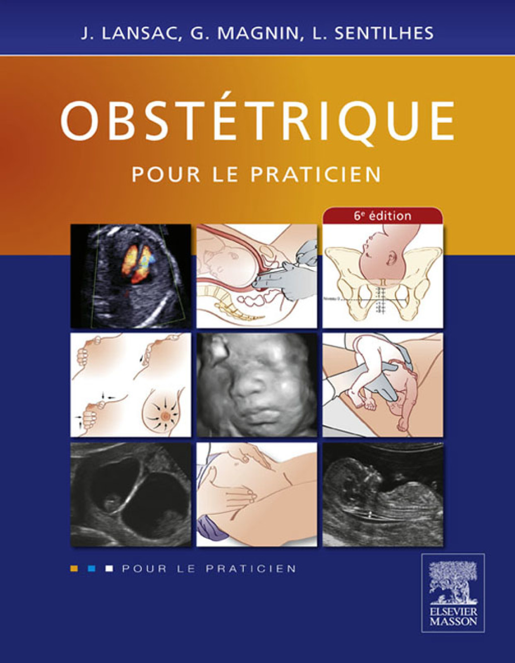 ObstÃ©trique pour le praticien 6th Edition â€“ PDF/EPUB Version Downloadable