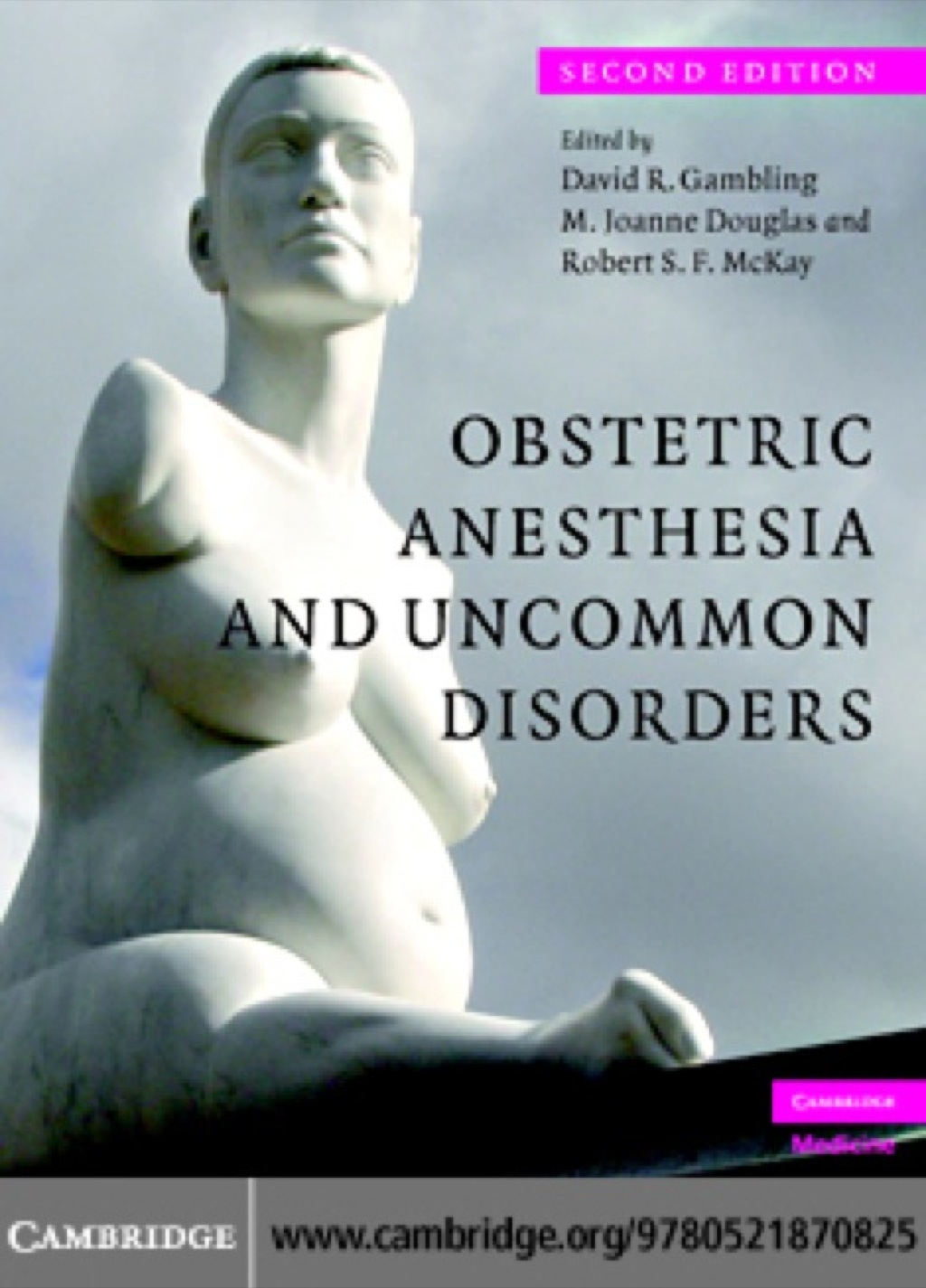 Obstetric Anesthesia and Uncommon Disorders 2nd Edition â€“ PDF/EPUB Version Downloadable