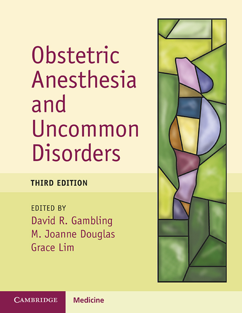 Obstetric Anesthesia and Uncommon Disorders 3rd Edition â€“ PDF/EPUB Version Downloadable