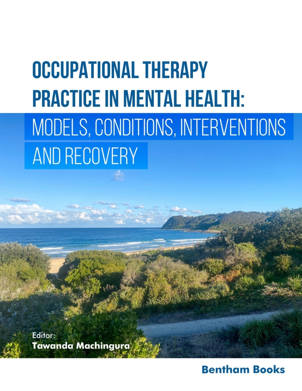 Occupational Therapy Practice in Mental Health: Models, Conditions,<br/>Interventions, and Recovery 1st Edition â€“ PDF/EPUB Version Downloadable
