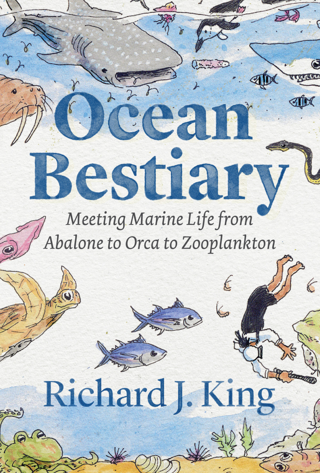 Ocean Bestiary Meeting Marine Life from Abalone to Orca to Zooplankton - (PDF/EPUB Version)