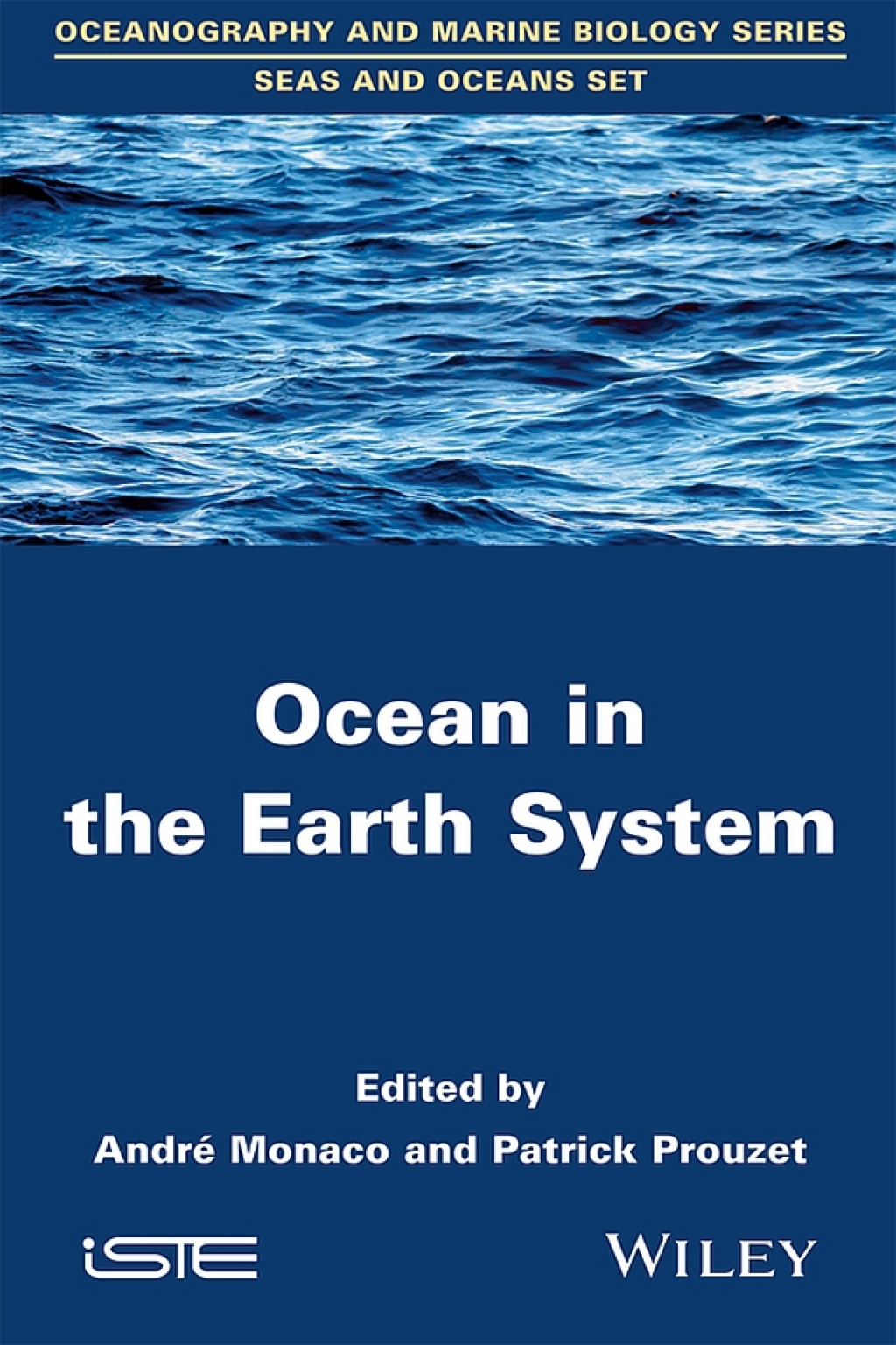 Ocean in the Earth System 1st Edition â€“ PDF/EPUB Version Downloadable