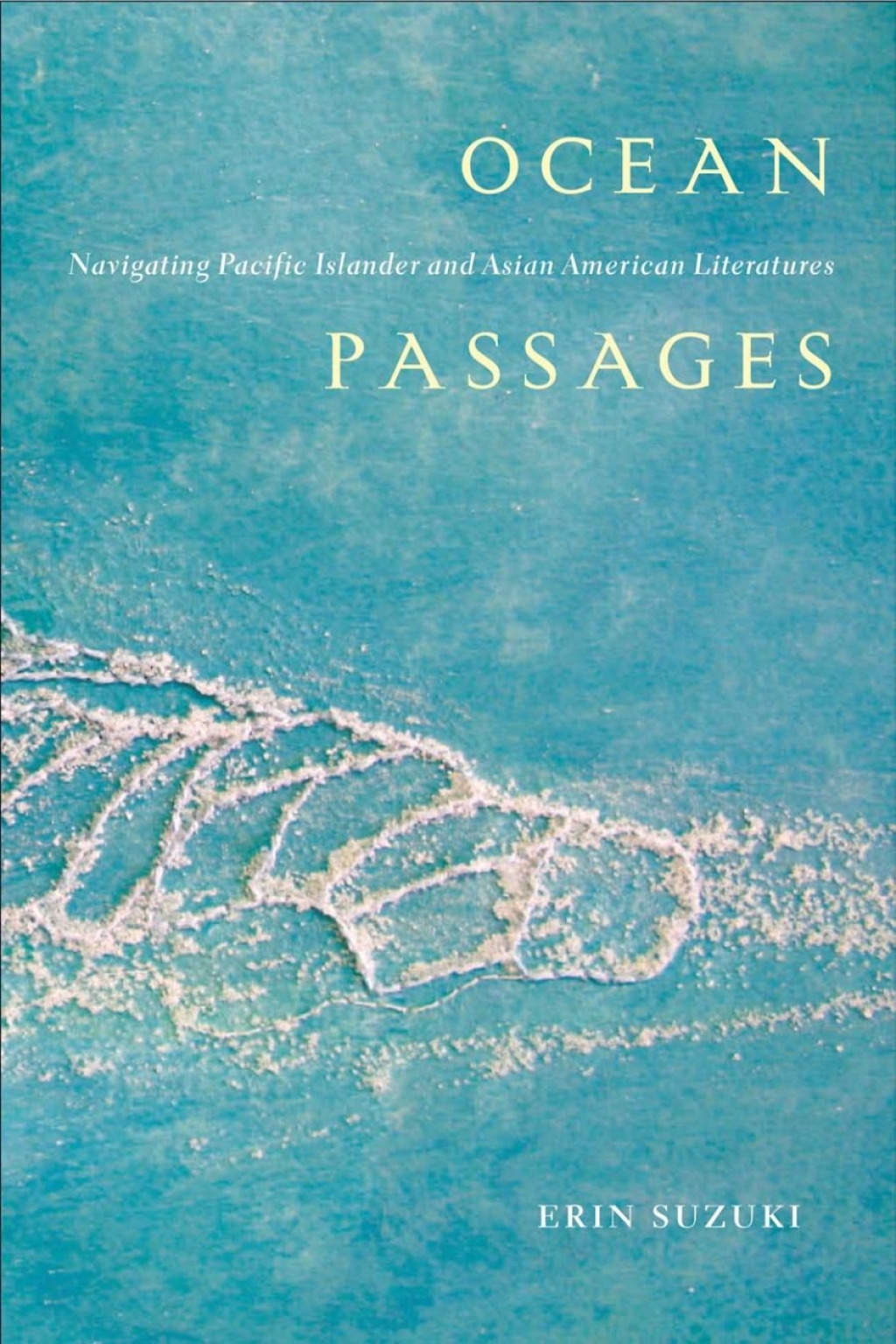 Ocean Passages Navigating Pacific Islander and Asian American Literatures 1st Edition â€“ PDF/EPUB Version Downloadable