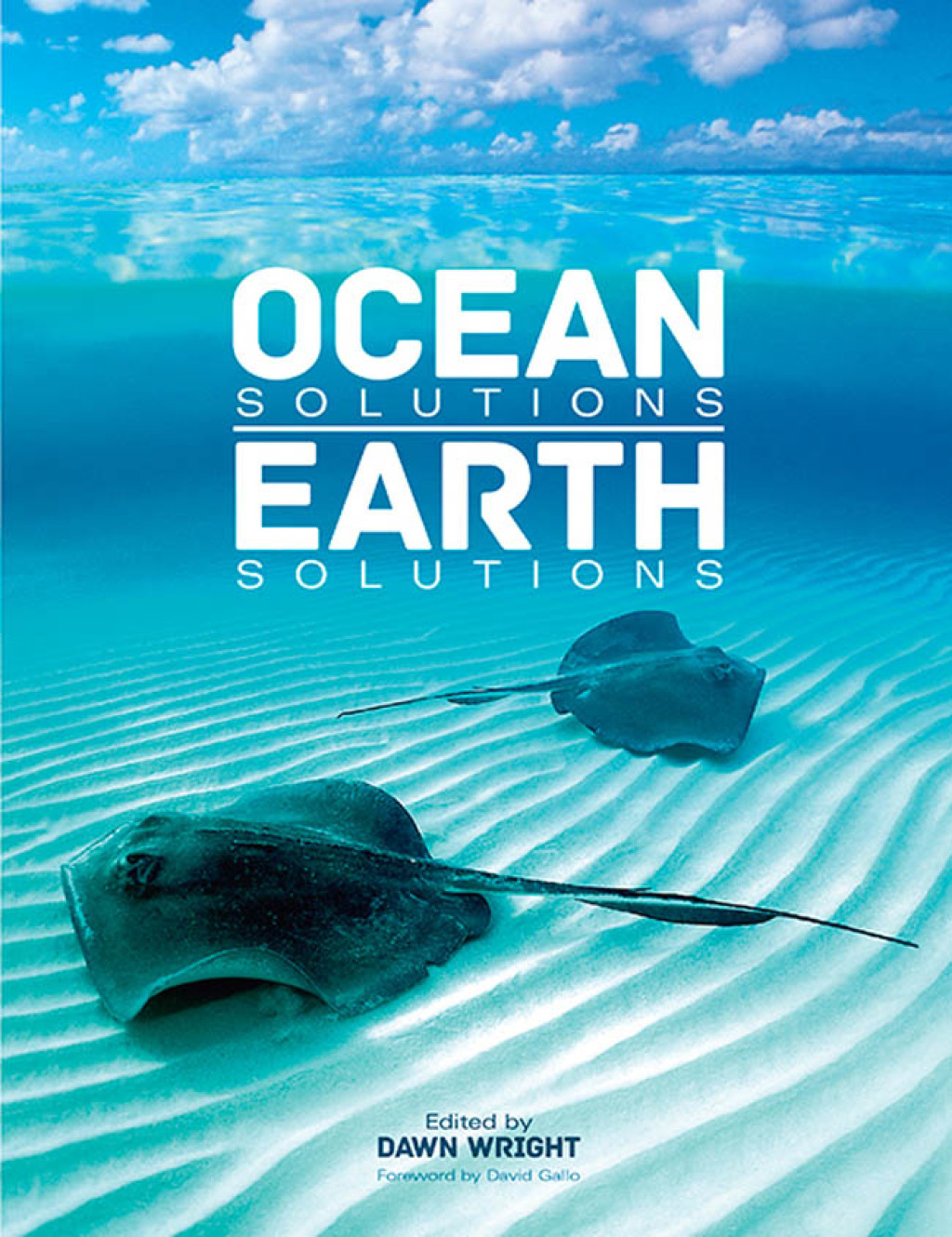 Ocean Solutions, Earth Solutions 2nd Edition â€“ PDF/EPUB Version Downloadable