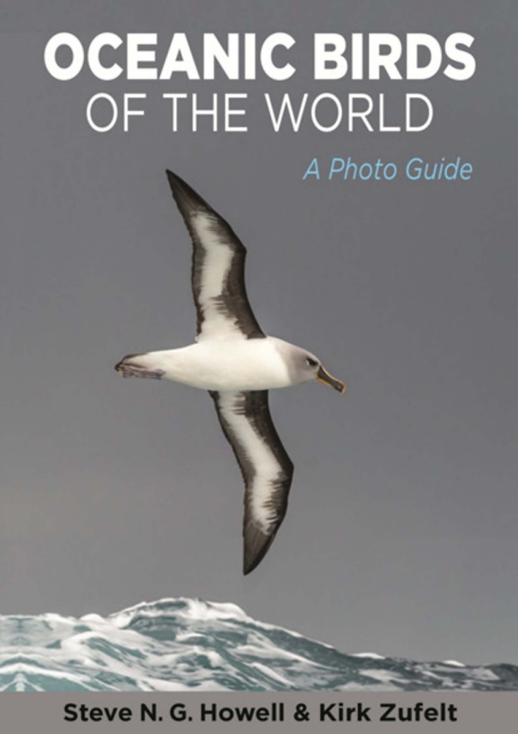 Oceanic Birds of the World A Photo Guide  â€“ PDF/EPUB Version Downloadable