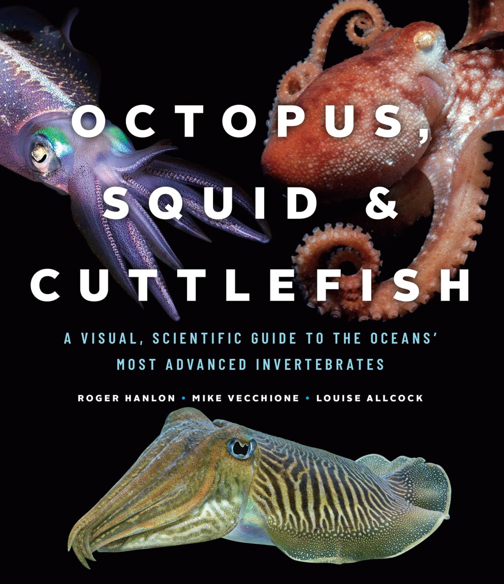 Octopus, Squid, and Cuttlefish A Visual, Scientific Guide to the Oceansâ€™ Most Advanced Invertebrates  â€“ PDF/EPUB Version Downloadable