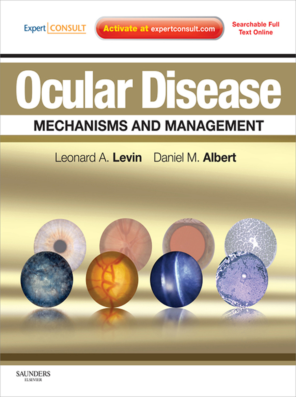 Ocular Disease: Mechanisms and Management  â€“ PDF/EPUB Version Downloadable