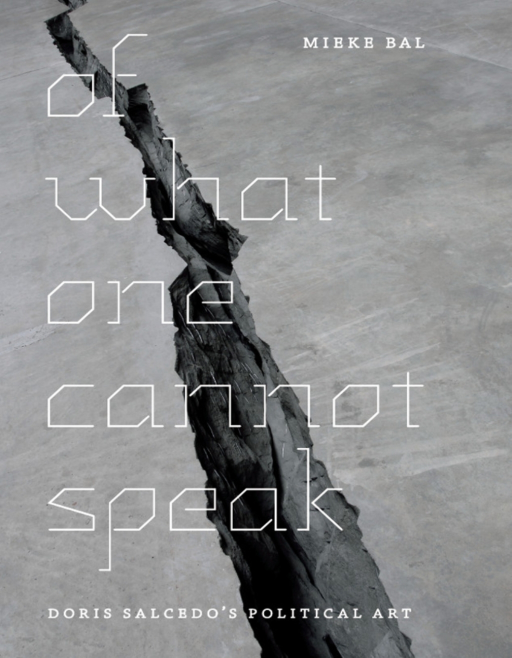 Of What One Cannot Speak Doris Salcedo's Political Art 1st Edition â€“ PDF/EPUB Version Downloadable