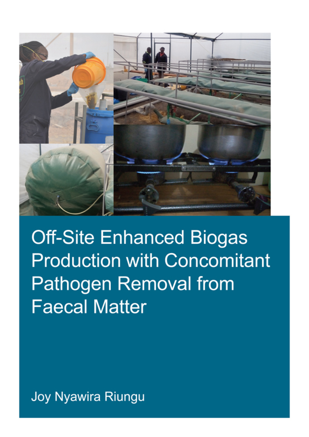 Off-Site Enhanced Biogas Production with Concomitant Pathogen Removal from Faecal Matter 1st Edition â€“ PDF/EPUB Version Downloadable