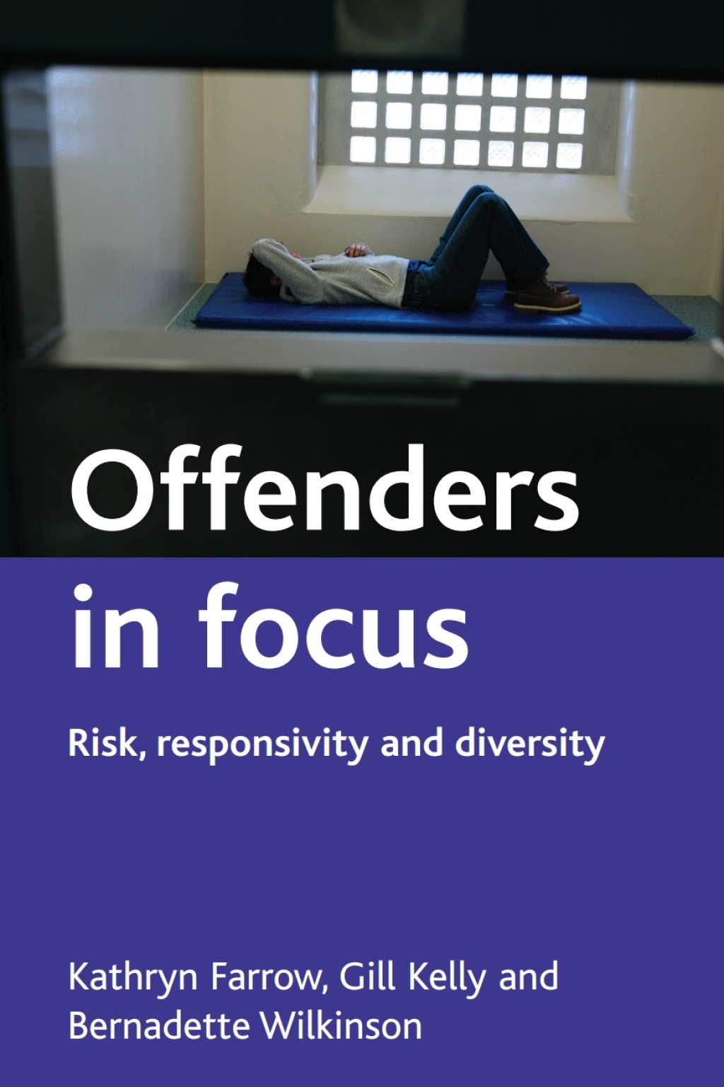 Offenders in focus Risk, responsivity and diversity 1st Edition â€“ PDF/EPUB Version Downloadable