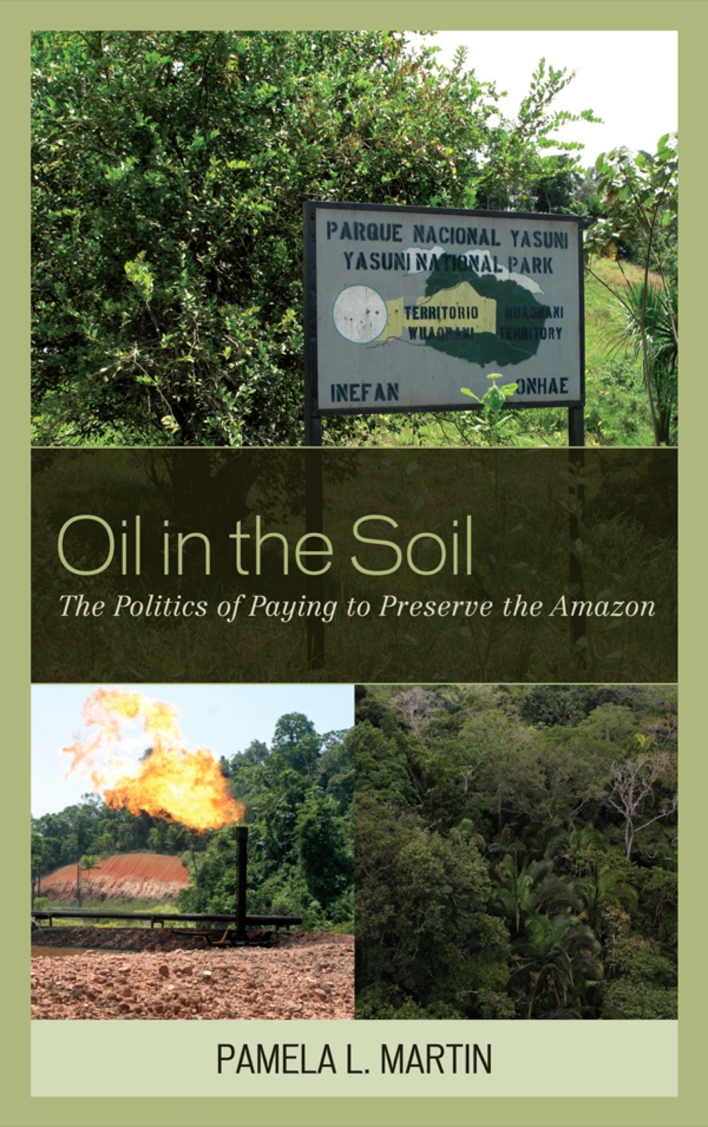 Oil in the Soil The Politics of Paying to Preserve the Amazon 1st Edition â€“ PDF/EPUB Version Downloadable