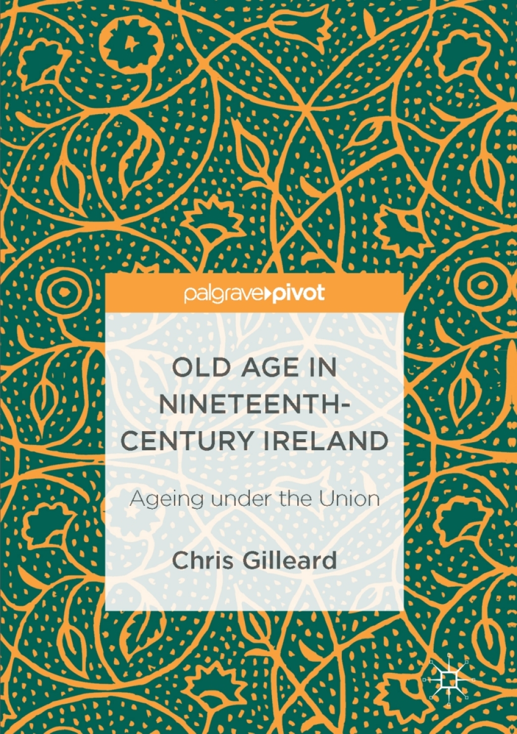 Old Age in Nineteenth-Century Ireland Ageing under the Union  â€“ PDF/EPUB Version Downloadable