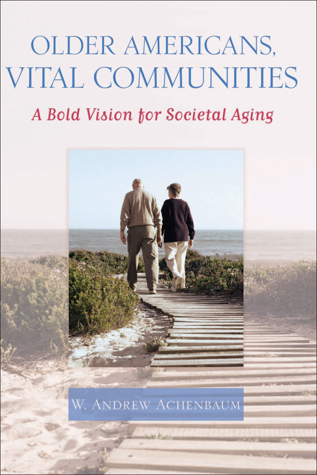 Older Americans, Vital Communities A Bold Vision for Societal Aging - (PDF/EPUB Version)