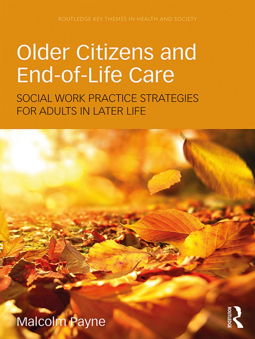 Older Citizens and End-of-Life Care Social Work Practice Strategies for Adults in Later Life 1st Edition â€“ PDF/EPUB Version Downloadable