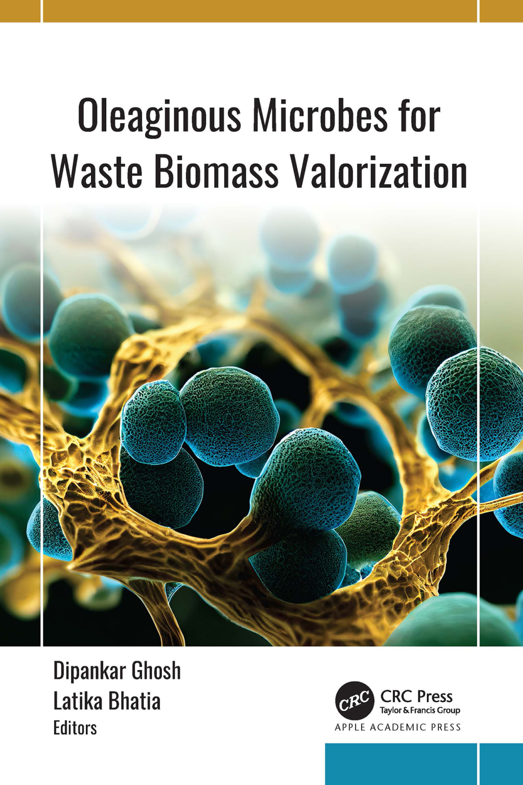 Oleaginous Microbes for Waste Biomass Valorization 1st Edition â€“ PDF/EPUB Version Downloadable