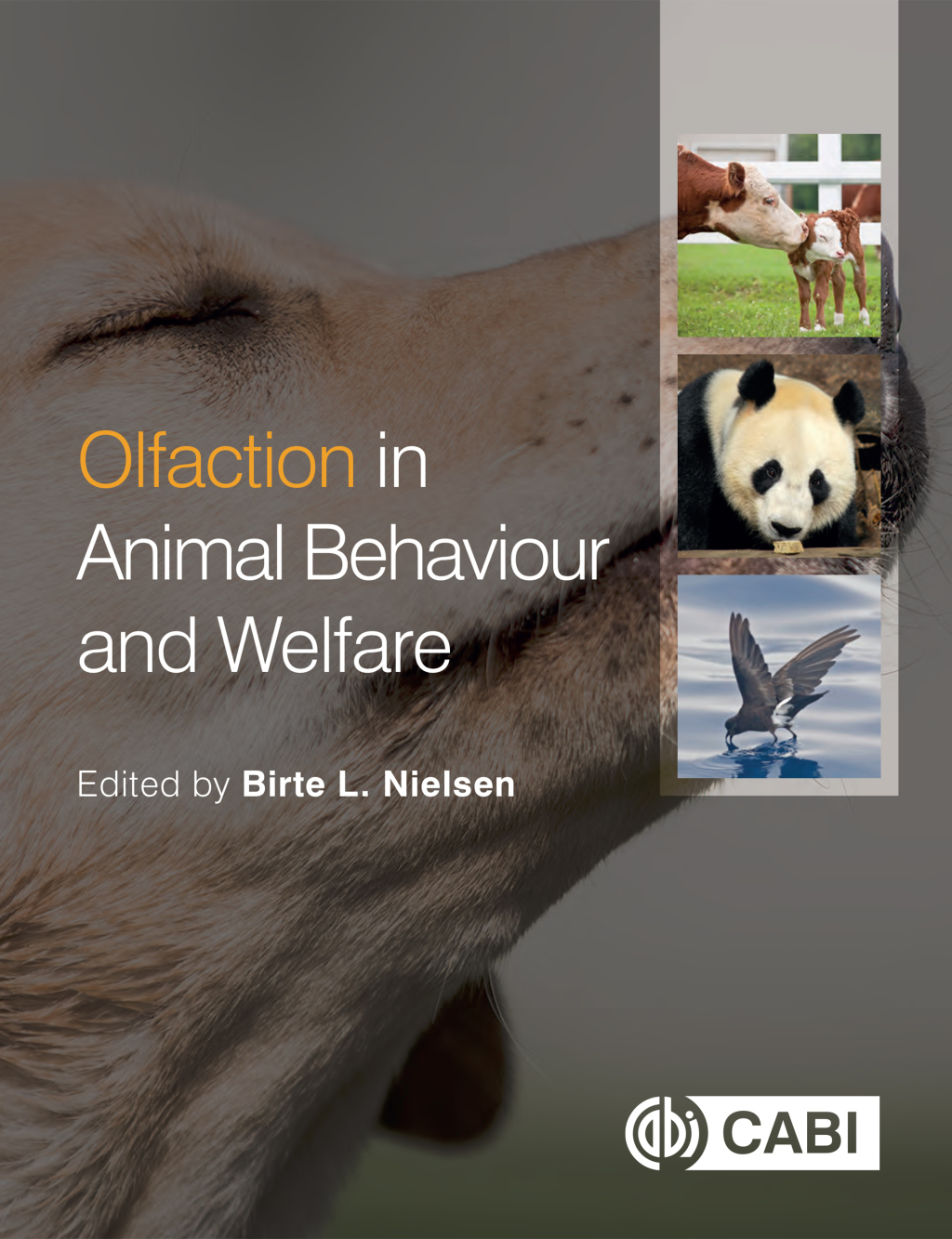 Olfaction in Animal Behaviour and Welfare 1st Edition â€“ PDF/EPUB Version Downloadable