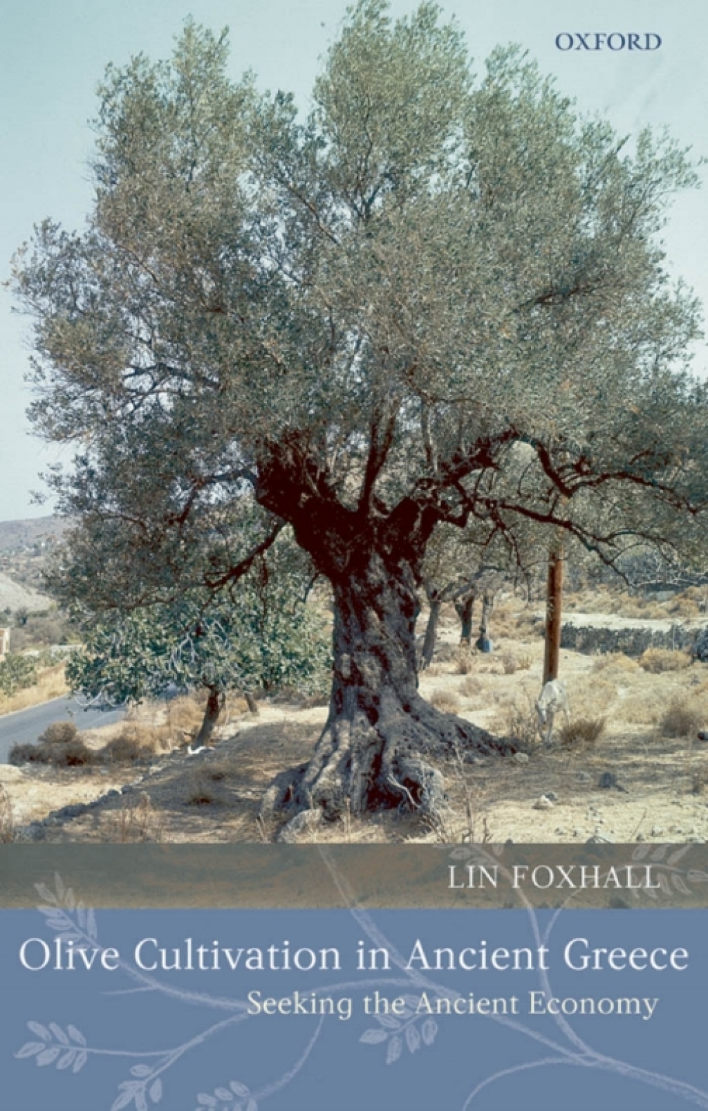 Olive Cultivation in Ancient Greece Seeking the Ancient Economy 1st Edition â€“ PDF/EPUB Version Downloadable