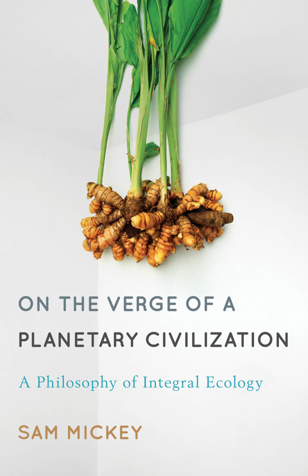 On the Verge of a Planetary Civilization A Philosophy of Integral Ecology 1st Edition â€“ PDF/EPUB Version Downloadable