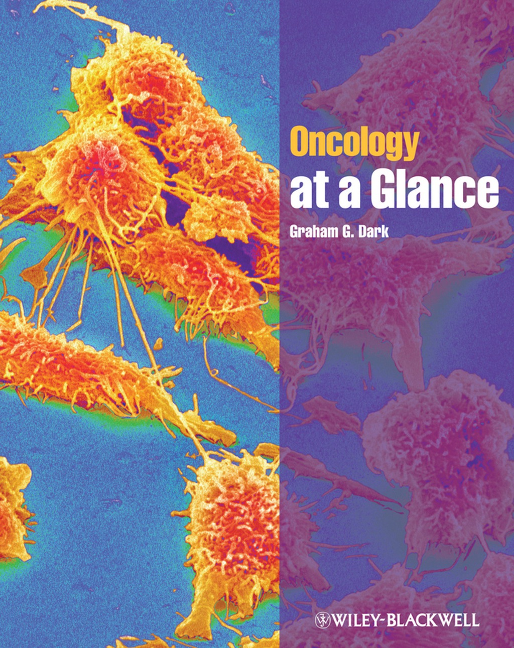 Oncology at a Glance 1st Edition â€“ PDF/EPUB Version Downloadable